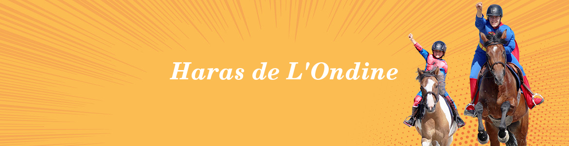 Haras de L'Ondine